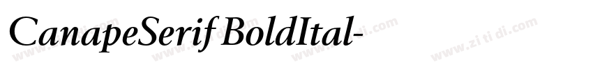 CanapeSerif BoldItal字体转换